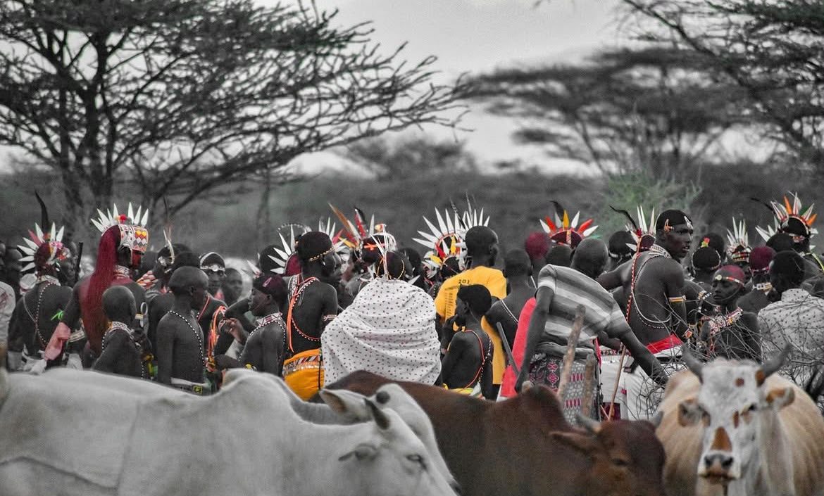 Village gathering with cattle at dusk